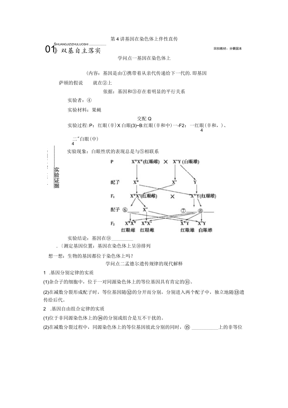 第4讲基因在染色体上伴性遗传.docx_第1页