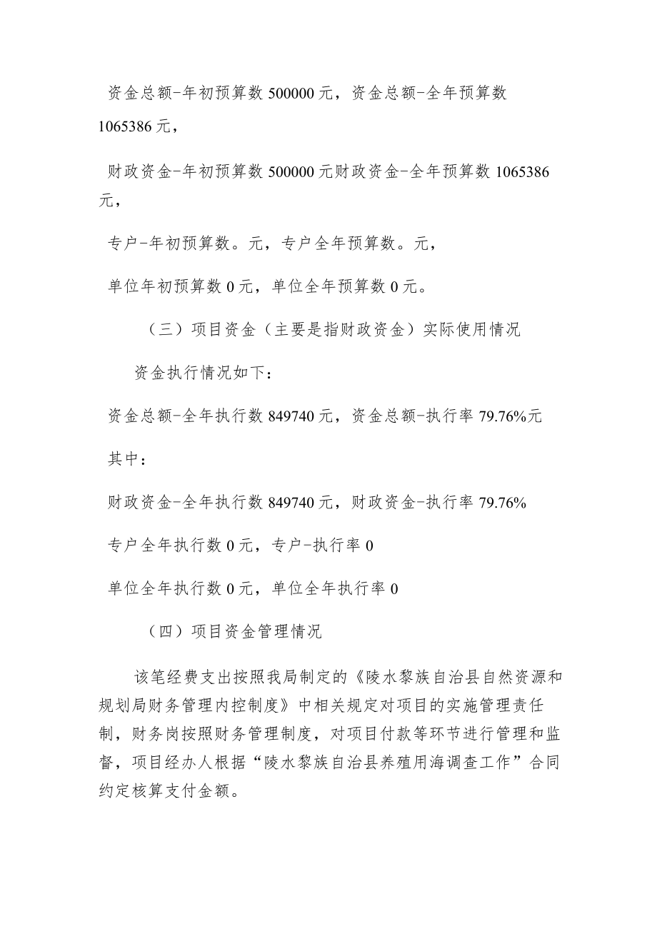 项目支出绩效自评报告.docx_第3页