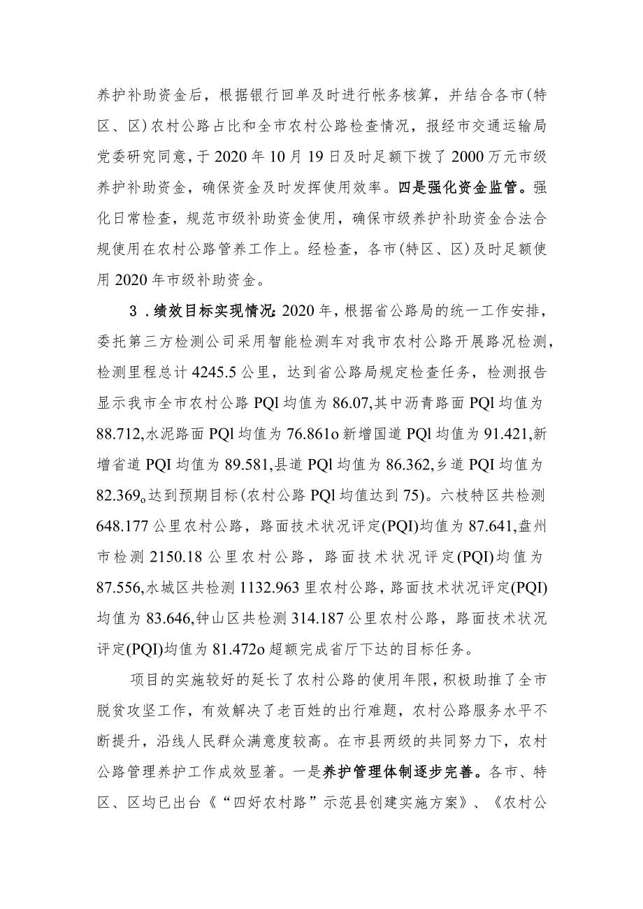 项目资金绩效自评报告.docx_第2页