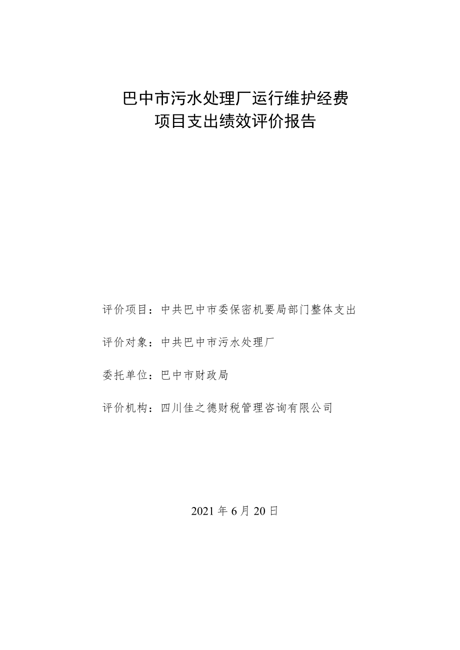 项目绩效评价报告.docx_第1页