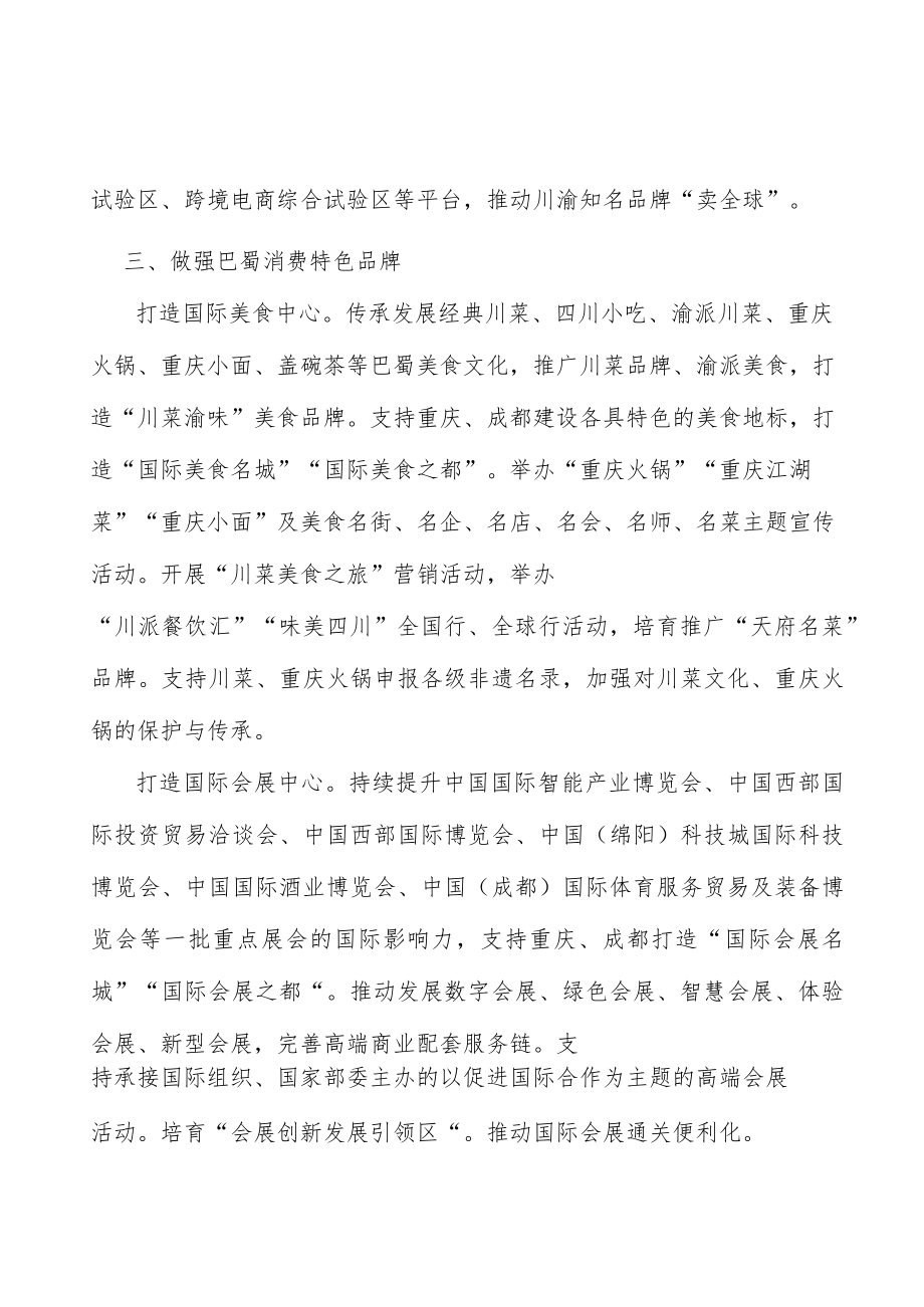 发展国际消费行动计划.docx_第2页