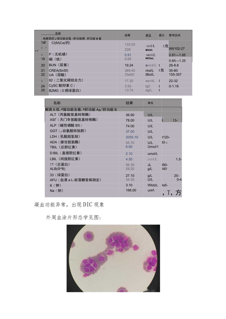 医学检验专业晋升副主任医师职称病例分析专题报告3篇汇编.docx_第3页