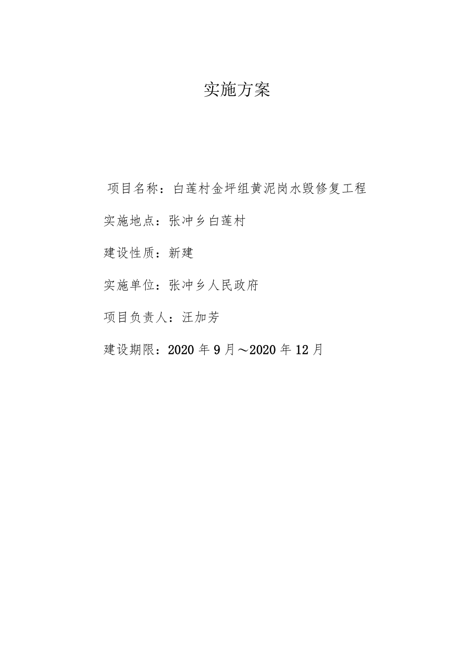 实施方案.docx_第1页