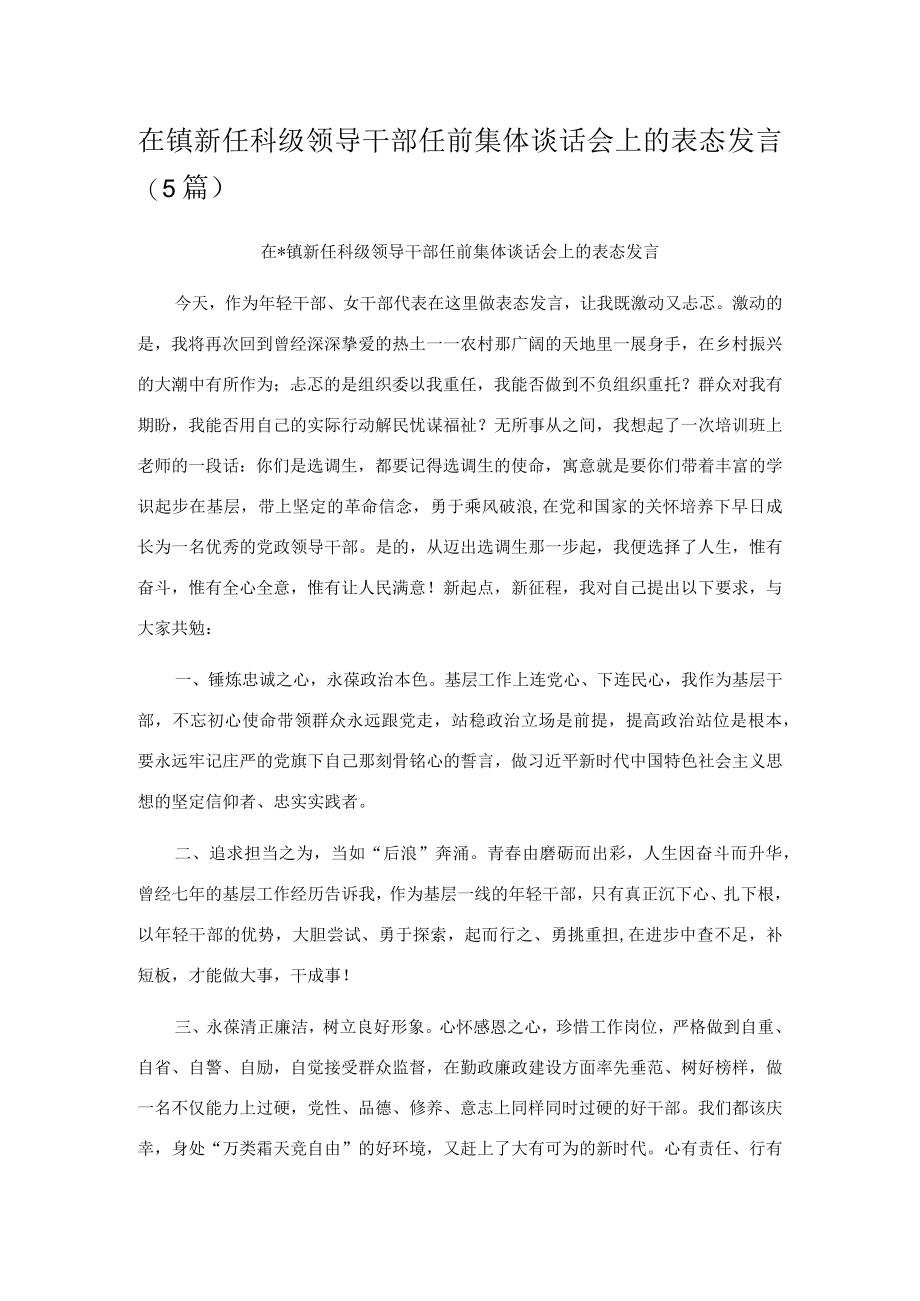 在镇新任科级领导干部任前集体谈话会上的表态发言（5篇）.docx_第1页