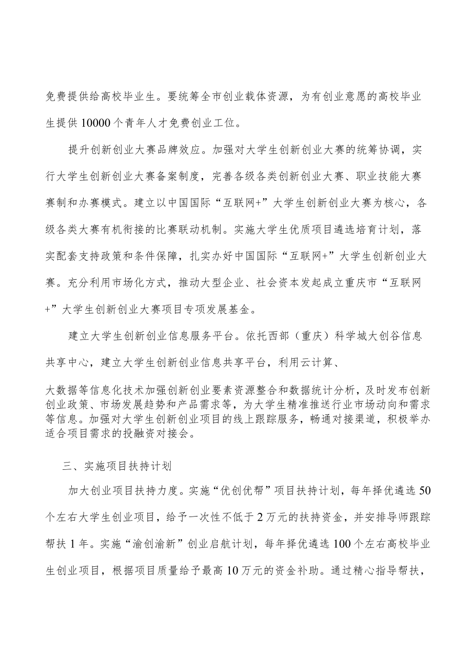 实施项目扶持计划实施方案.docx_第3页