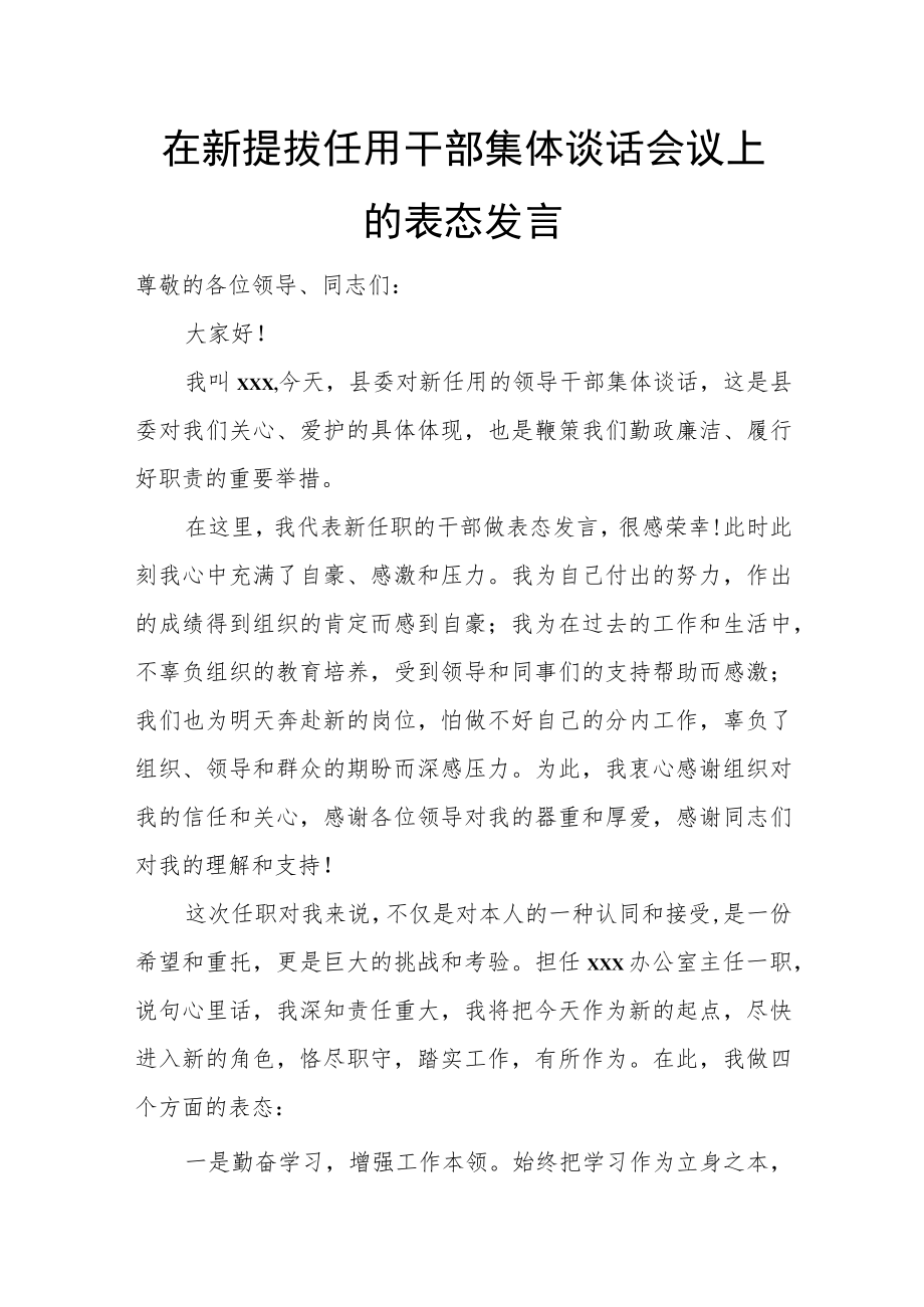 在新提拔任用干部集体谈话会议上的表态发言.docx_第1页