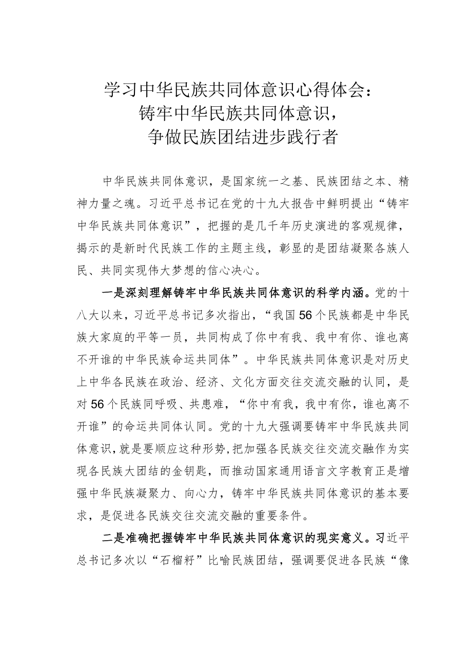 学习中华民族共同体意识心得体会：铸牢中华民族共同体意识争做民族团结进步践行者.docx_第1页