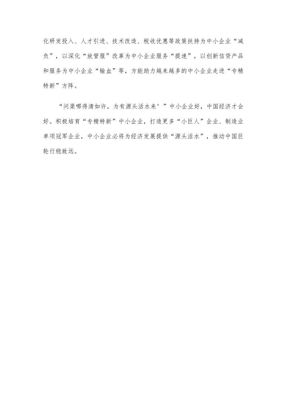 学习给2022全国专精特新中小企业发展大会贺信心得体会.docx_第3页