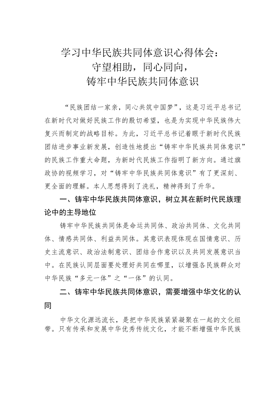 学习中华民族共同体意识心得体会：守望相助同心同向铸牢中华民族共同体意识.docx_第1页