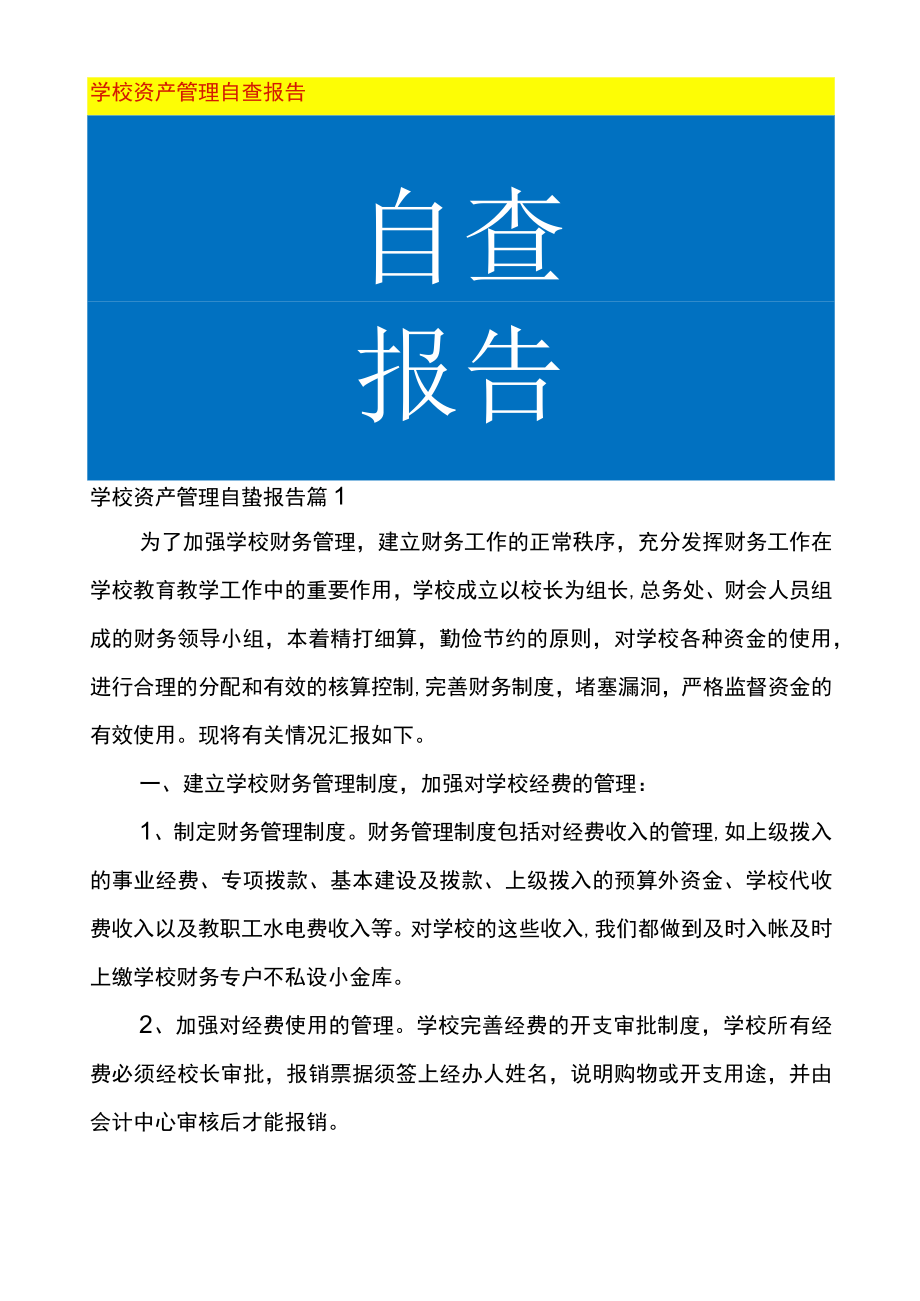 学校资产管理自查报告.docx_第1页