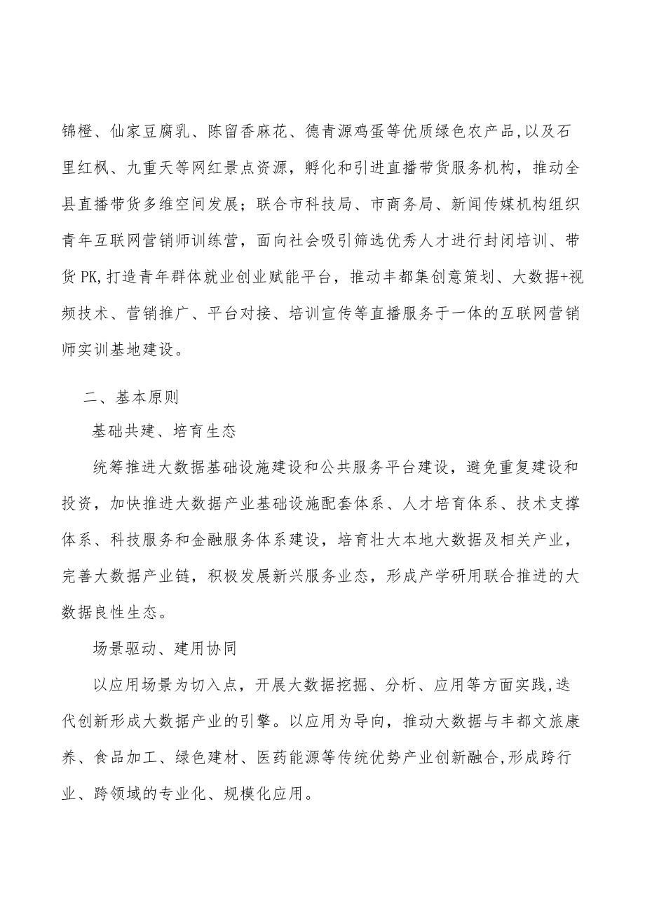 大数据新业态实施方案.docx_第2页