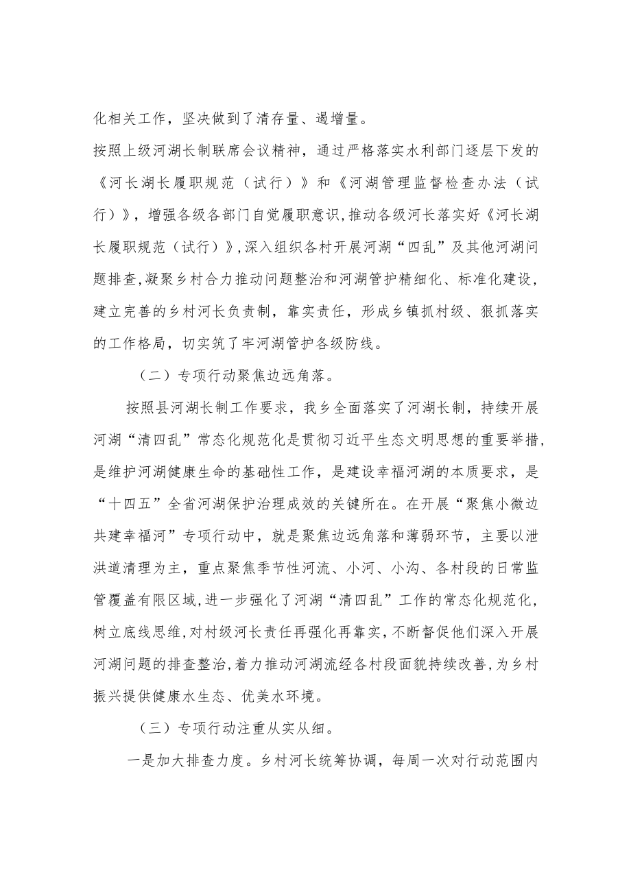 XX乡“聚焦小微边共建幸福河”专项行动工作总结.docx_第2页