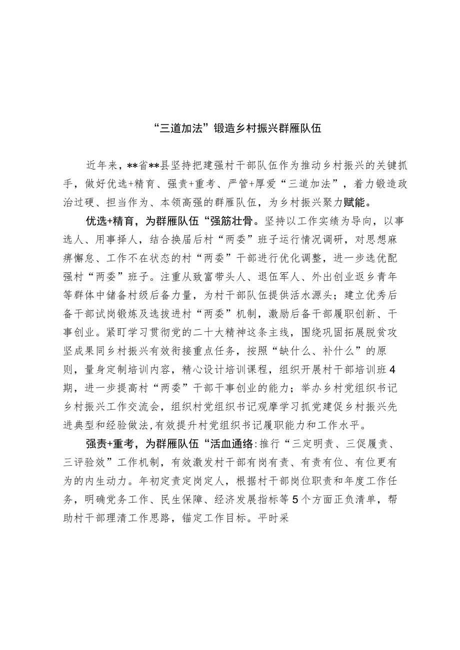 乡村振兴群雁队伍建设经验交流材料.docx_第1页