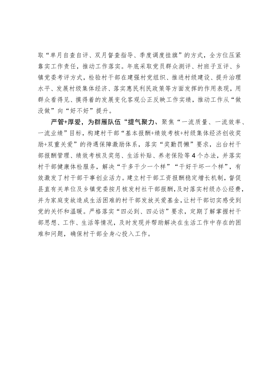 乡村振兴群雁队伍建设经验交流材料.docx_第2页