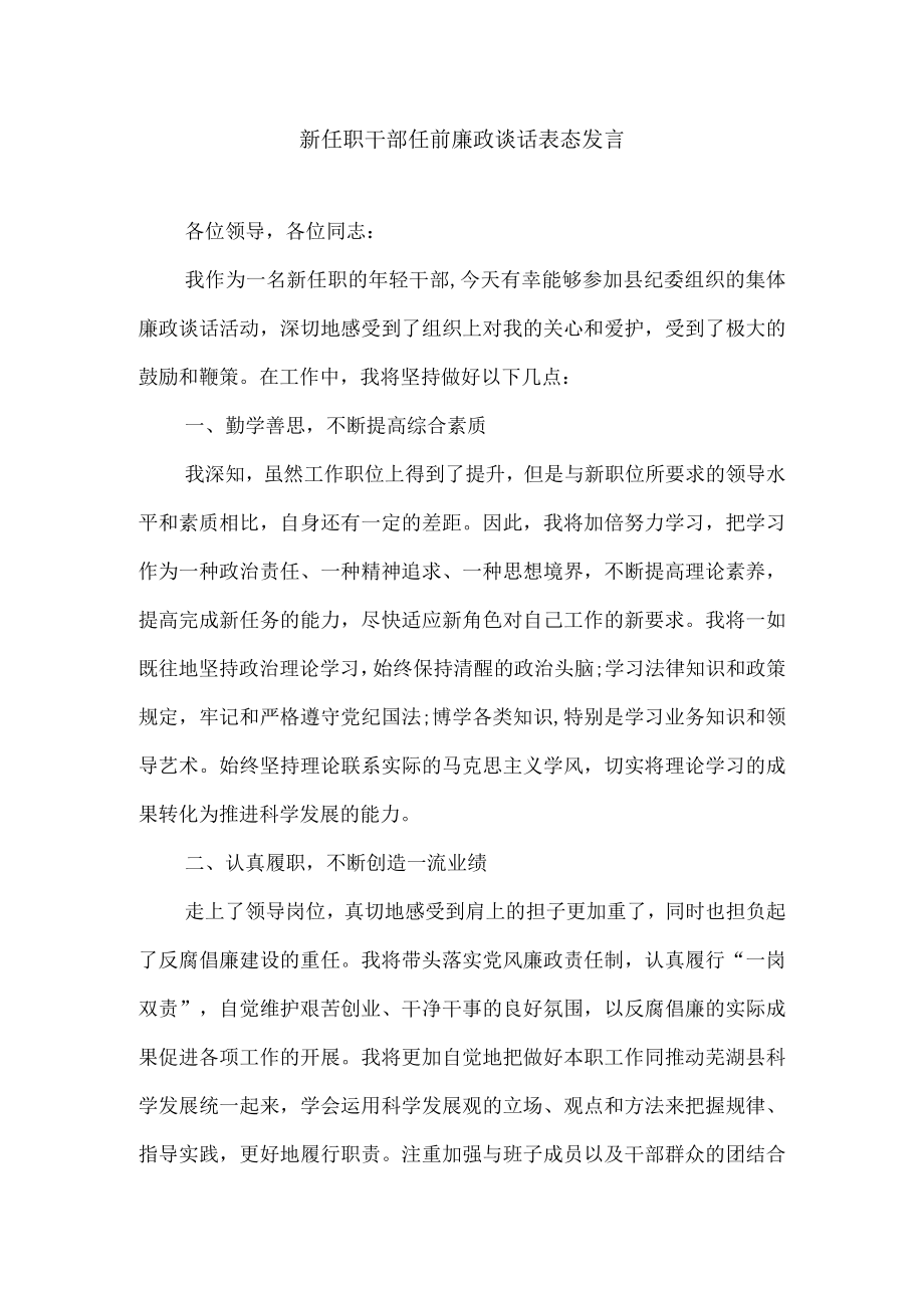 新任职干部任前廉政谈话表态发言.docx_第1页