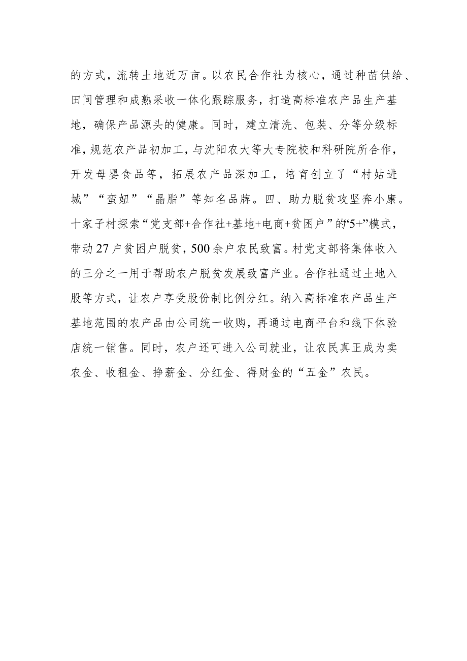 乡村振兴经验材料：引返乡创业发展农村电商新业态.docx_第2页