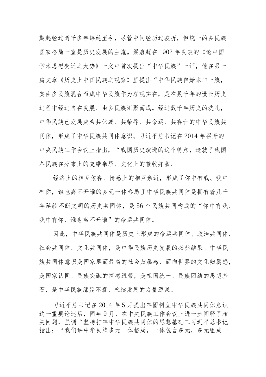 “铸牢中华民族共同体意识”党课讲稿3篇.docx_第3页