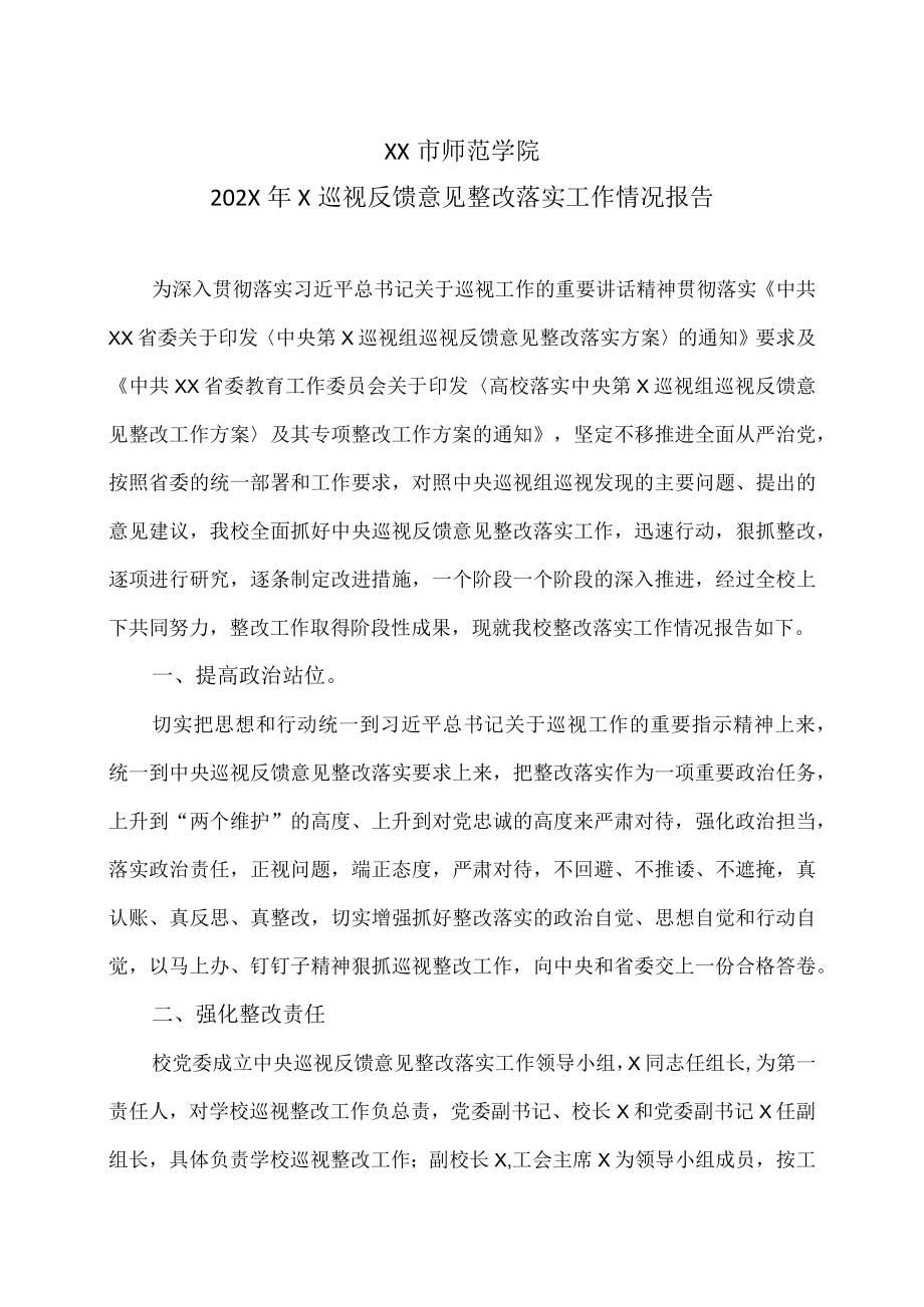 XX市师范学院202X年X巡视反馈意见整改落实工作情况报告.docx_第1页