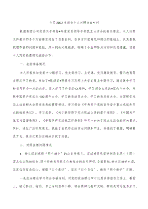 公司2022生活会个人对照检查材料.docx