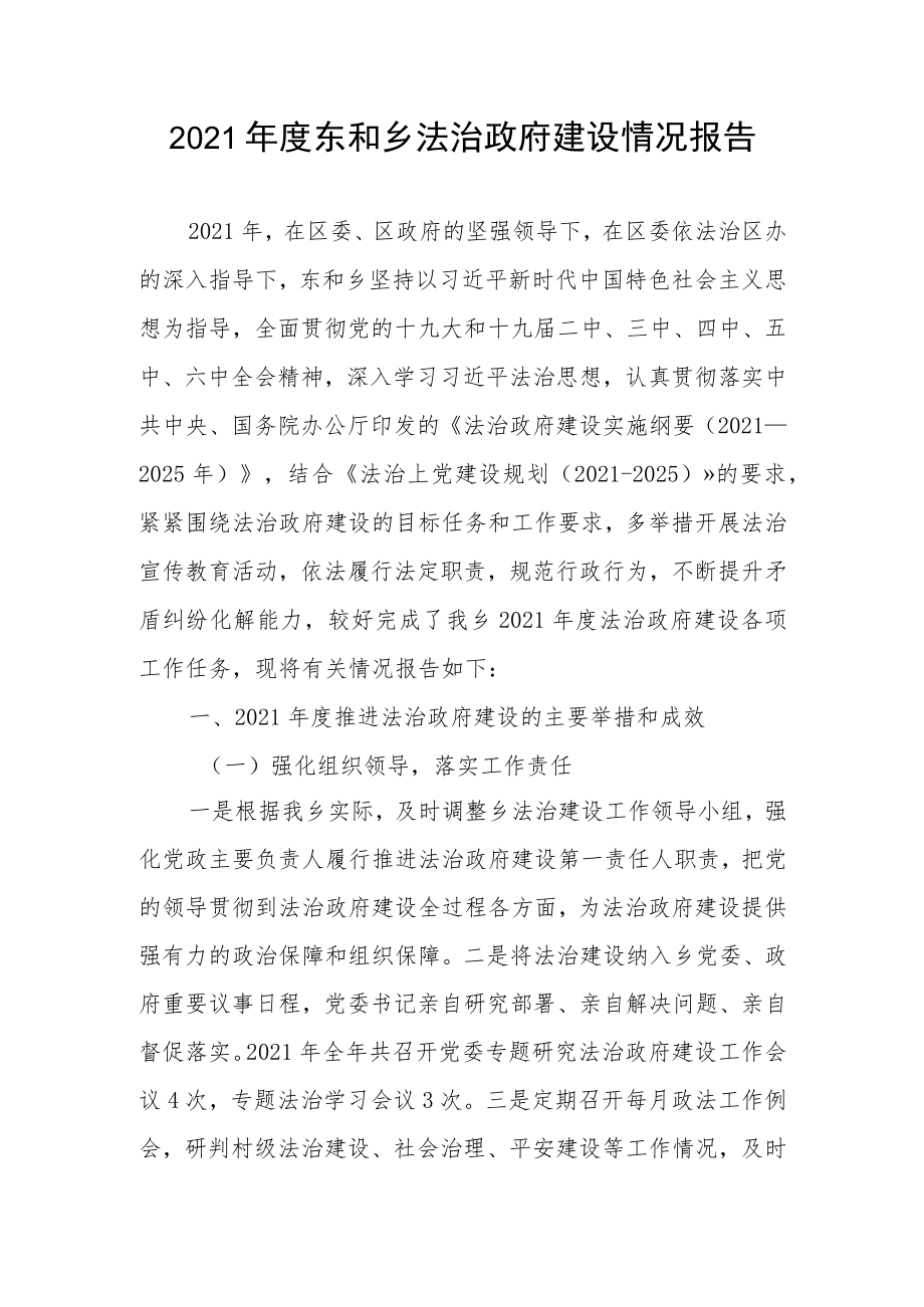 2021年度东和乡法治政府建设情况报告.docx_第1页