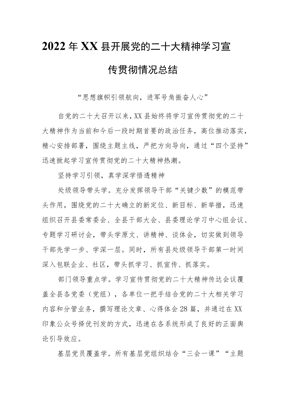 2022年XX县学习宣传贯彻情况总结.docx_第1页