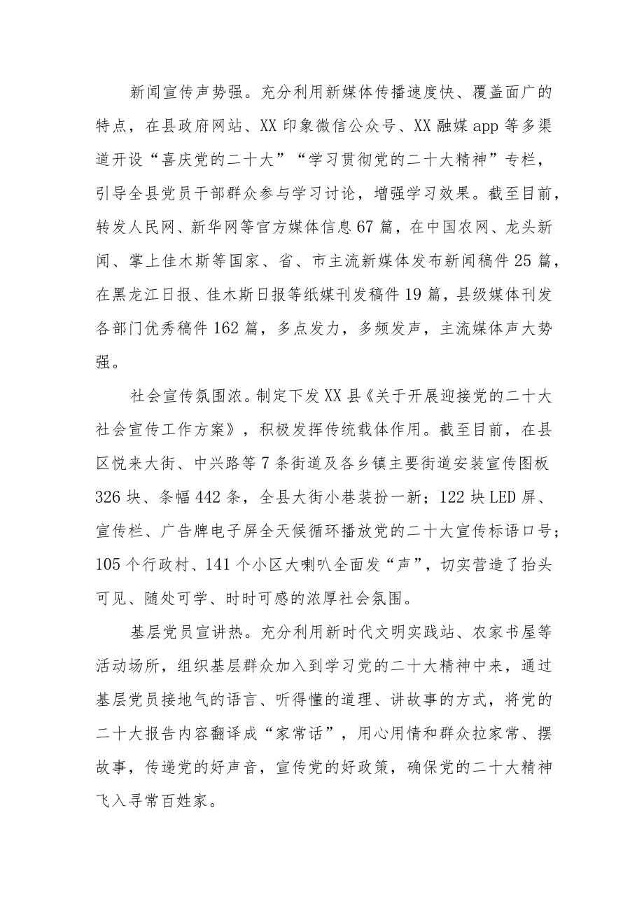 2022年XX县学习宣传贯彻情况总结.docx_第3页