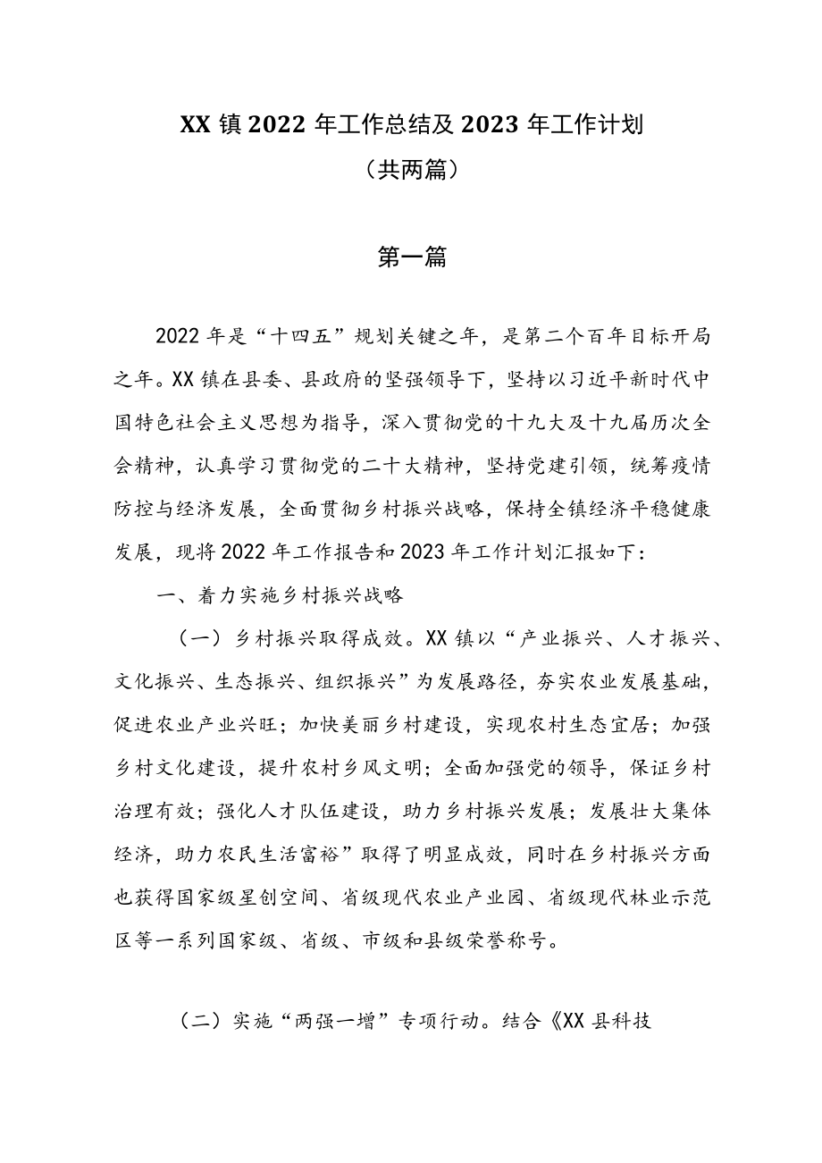 XX镇2022年工作总结及2023年工作计划.docx_第1页