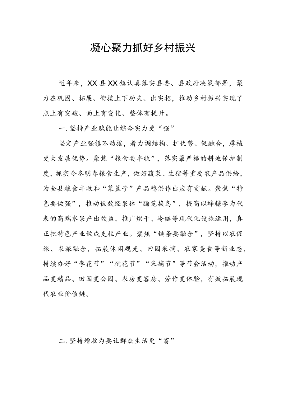 乡村振兴经验材料：凝心聚力抓好乡村振兴.docx_第1页