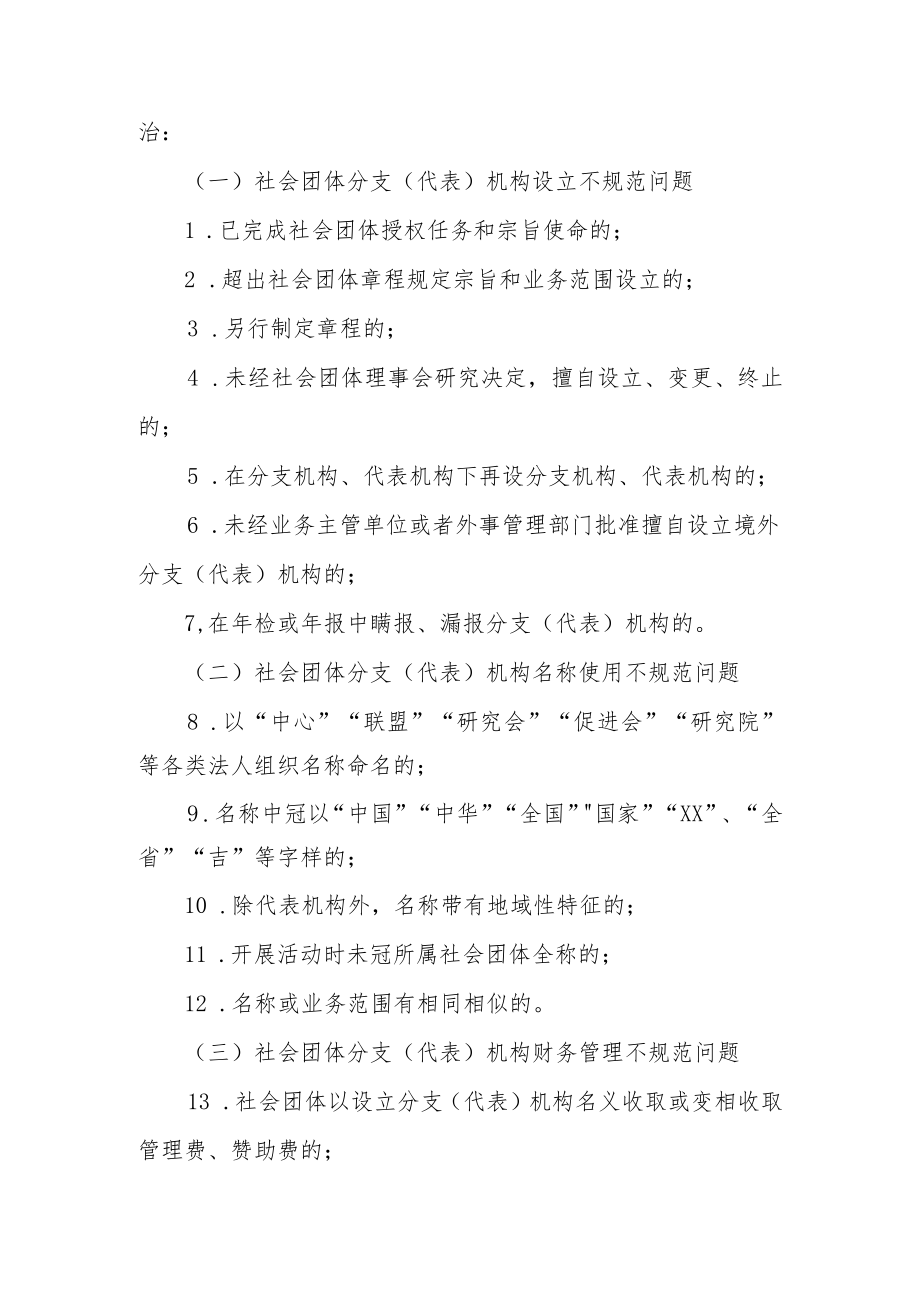 XX县关于开展社会团体分支(代表)机构专项整治行动实施方案.docx_第2页