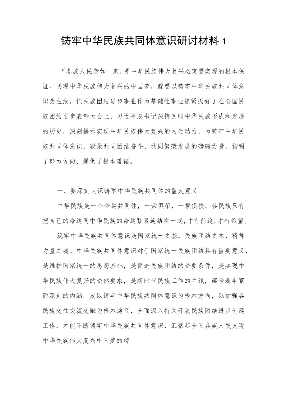 “铸牢中华民族共同体意识”研讨发言材料心得体会感想5篇.docx_第2页