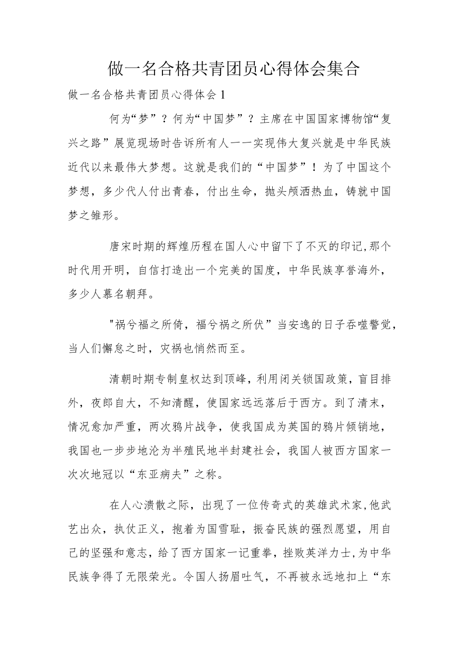 做一名合格共青团员心得体会集合.docx_第1页