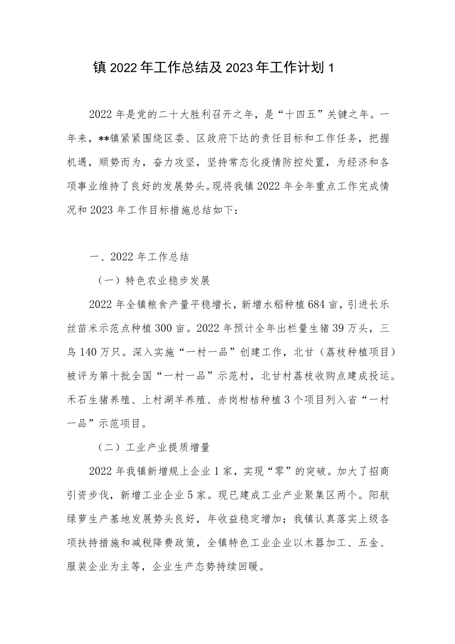 2022年度乡镇年终工作总结2023年工作计划谋划思路打算2篇.docx_第2页