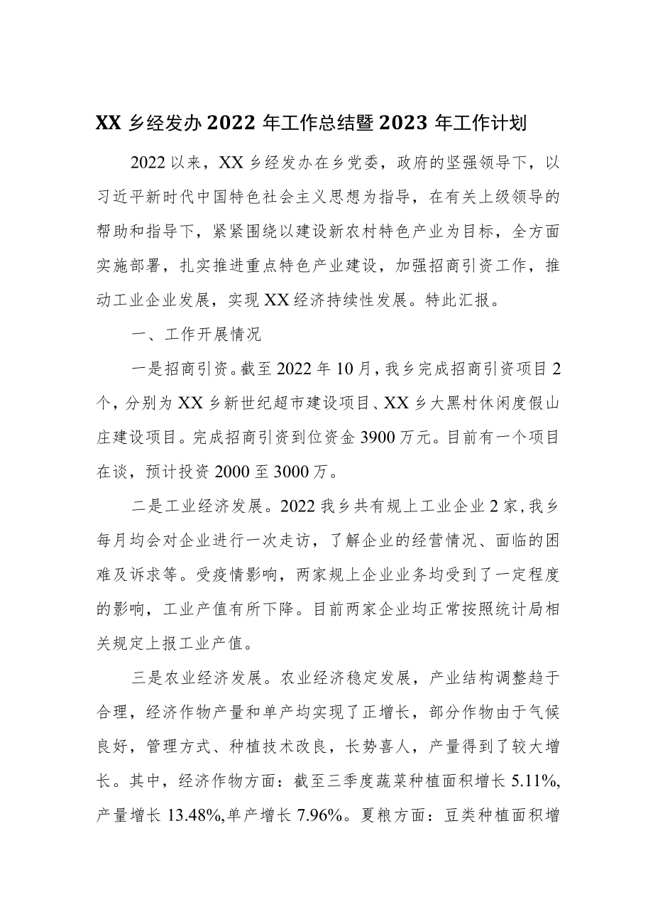 XX乡经发办2022年工作总结暨2023年工作计划.docx_第1页