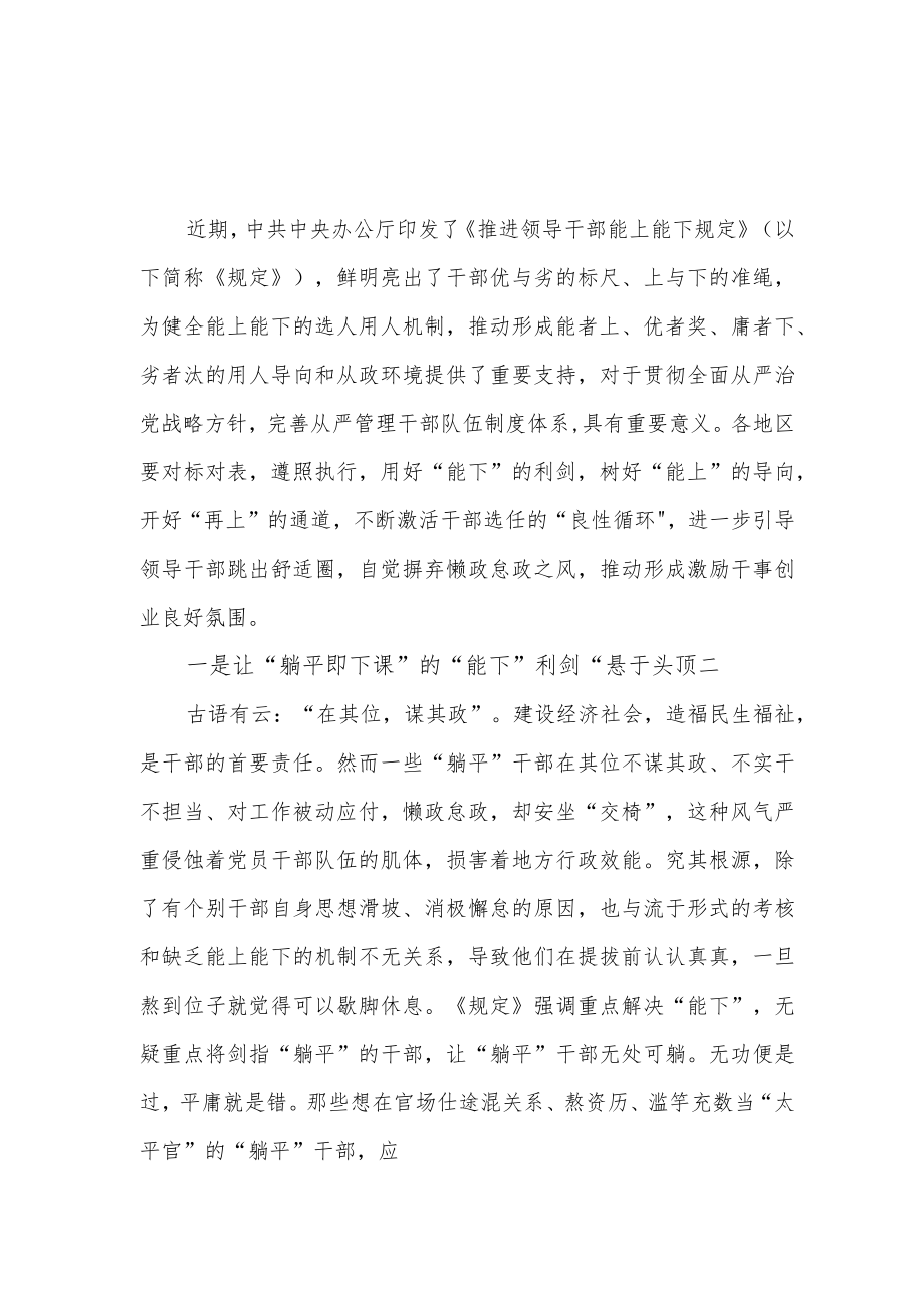 2022年10月《推进领导干部能上能下规定》学习心得体会研讨发言材料党课讲稿报告5篇.docx_第2页