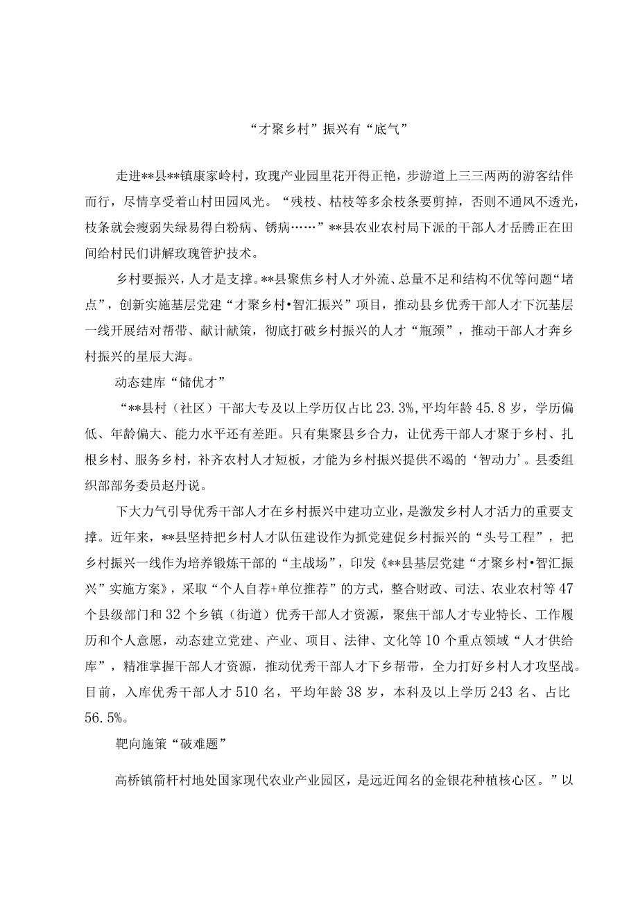 人才振兴乡村经验交流材料.docx_第3页