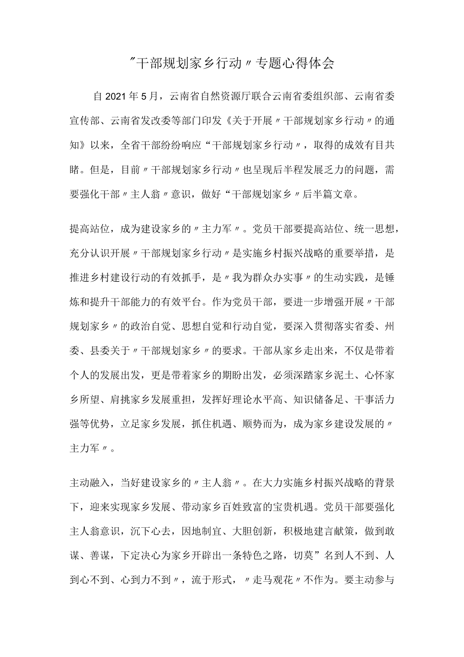 “干部规划家乡行动”专题心得体会.docx_第1页