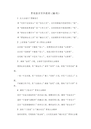 (30例)贯彻落实写作提纲.docx