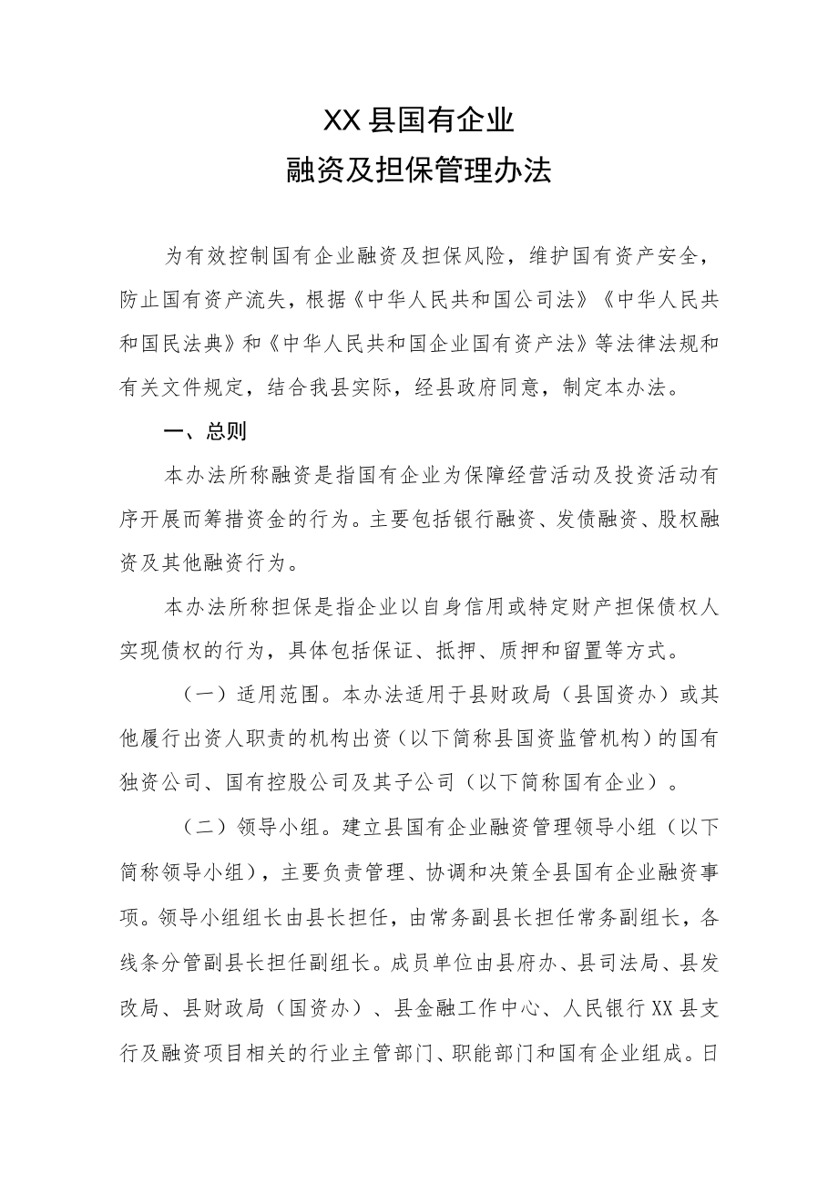 XX县国有企业融资及担保管理办法.docx_第1页