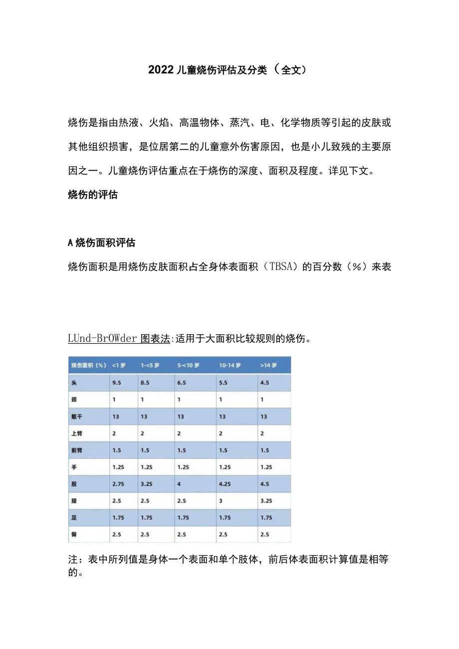 2022儿童烧伤评估及分类（全文）.docx_第1页