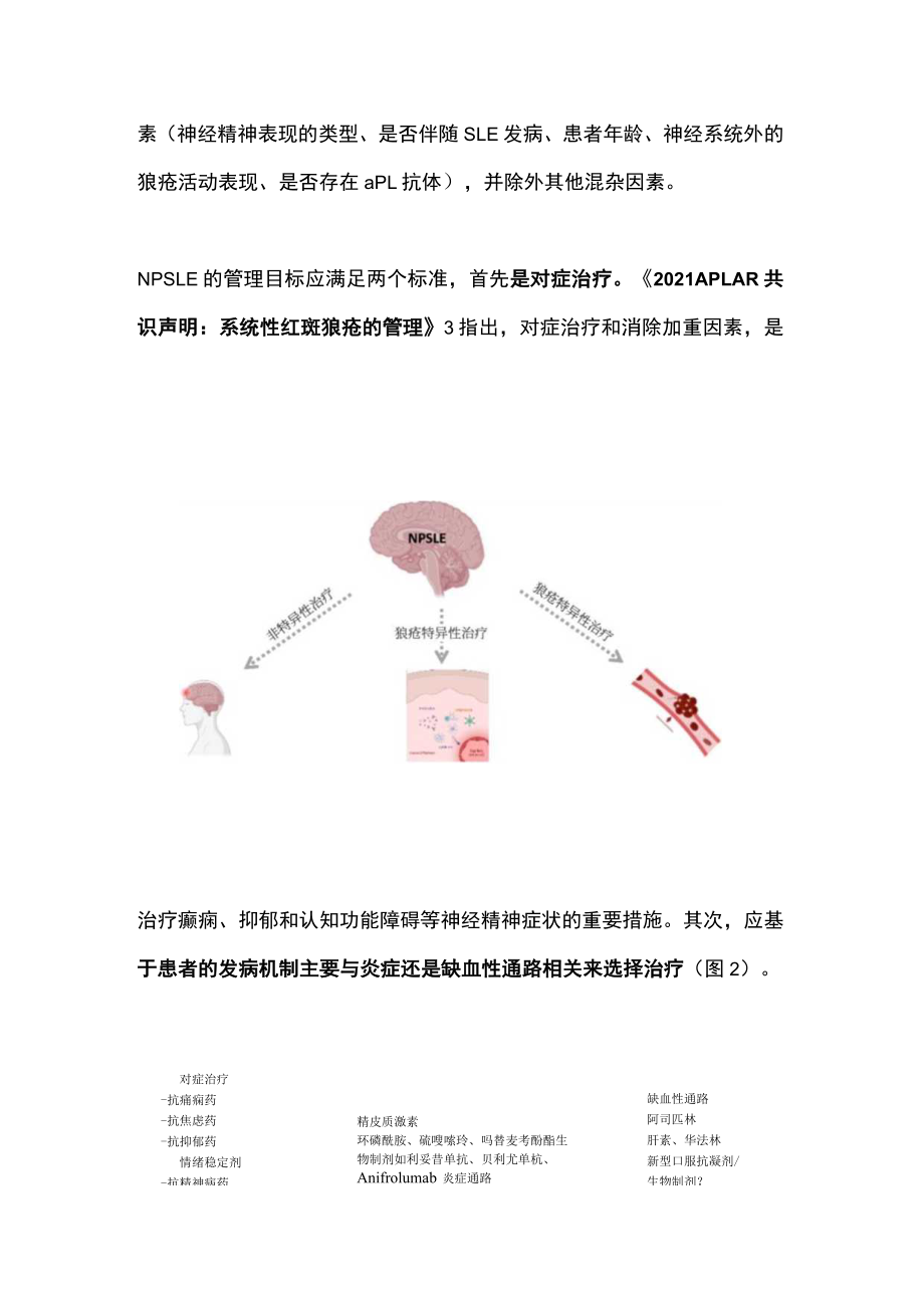 2022神经精神狼疮的治疗进展（全文）.docx_第3页