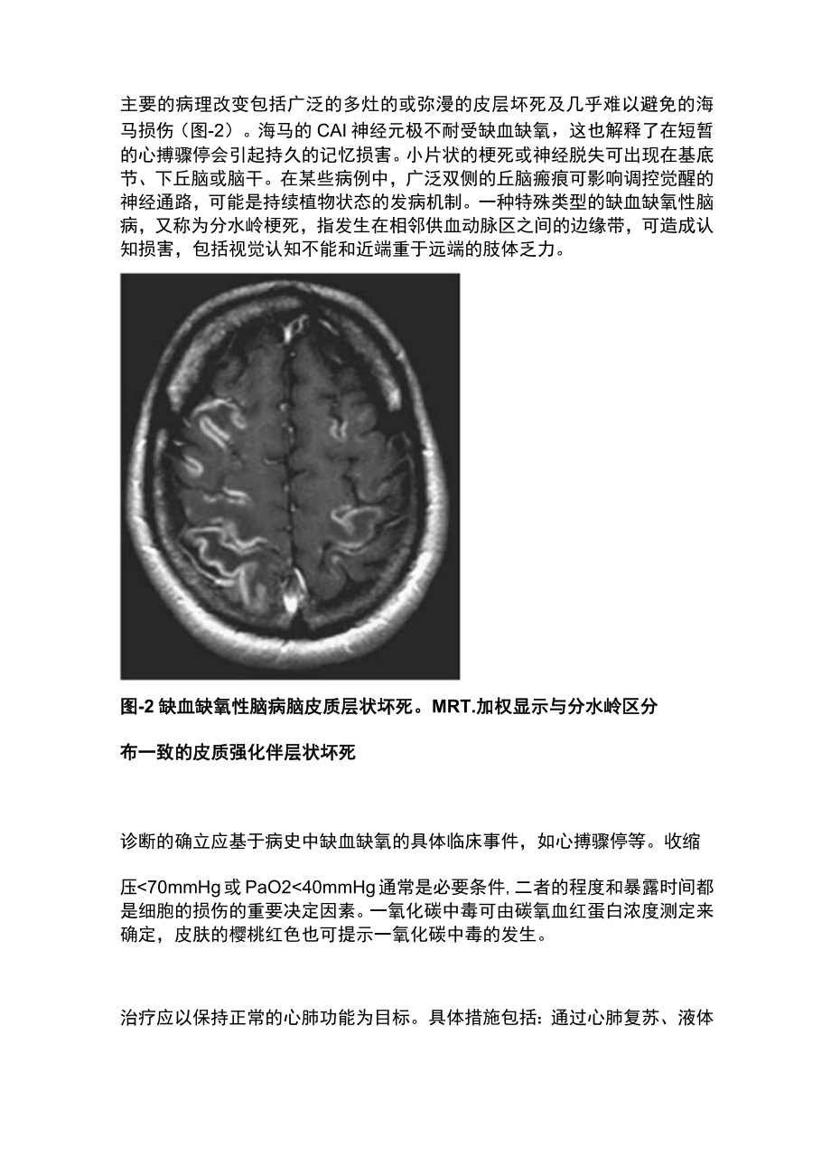 2022缺血缺氧性脑病（全文）.docx_第3页
