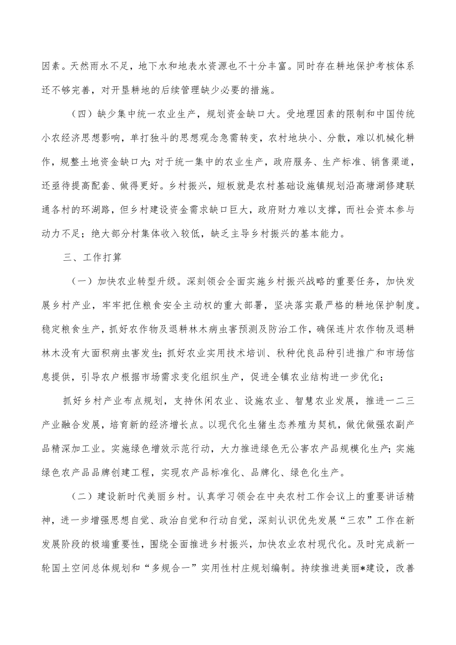 2022乡镇推进乡村振兴调研报告.docx_第2页