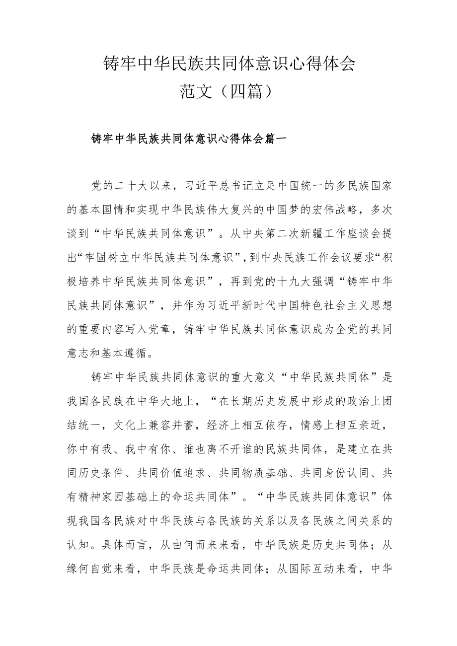 铸牢中华民族共同体意识心得体会范文（四篇）.docx_第1页