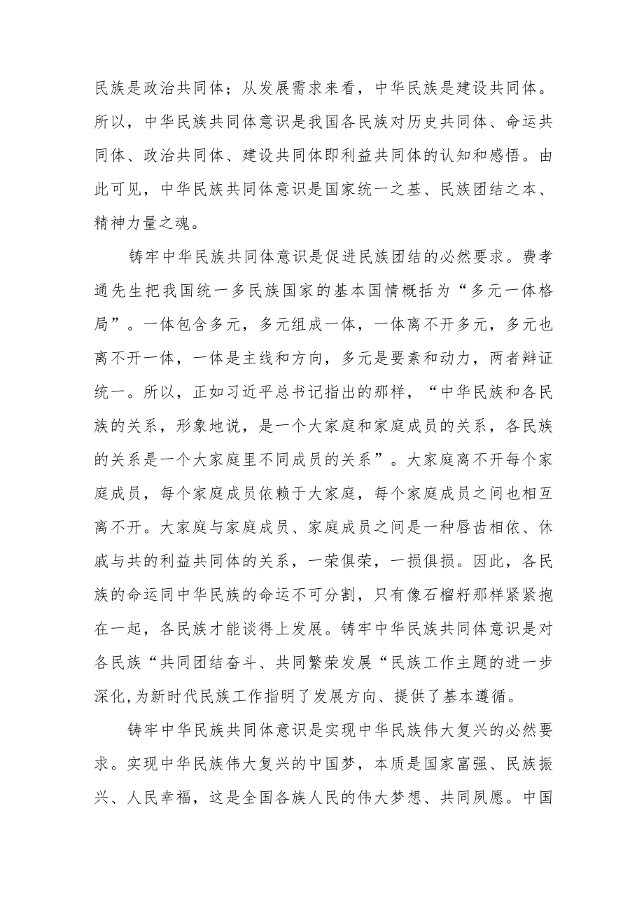 铸牢中华民族共同体意识心得体会范文（四篇）.docx_第2页