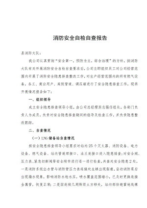 消防安全自检自查报告.docx