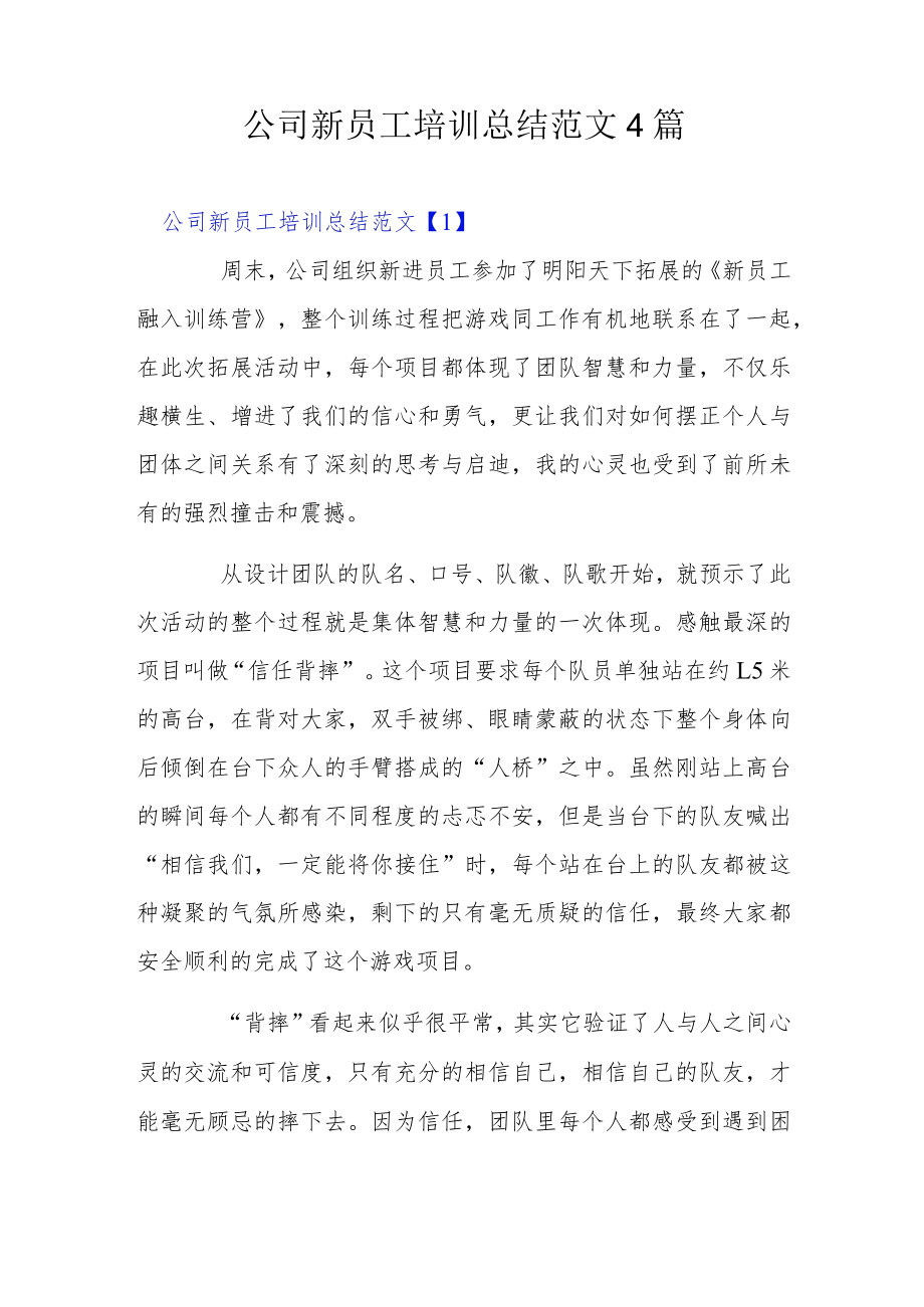 公司新员工培训总结范文4篇.docx_第1页