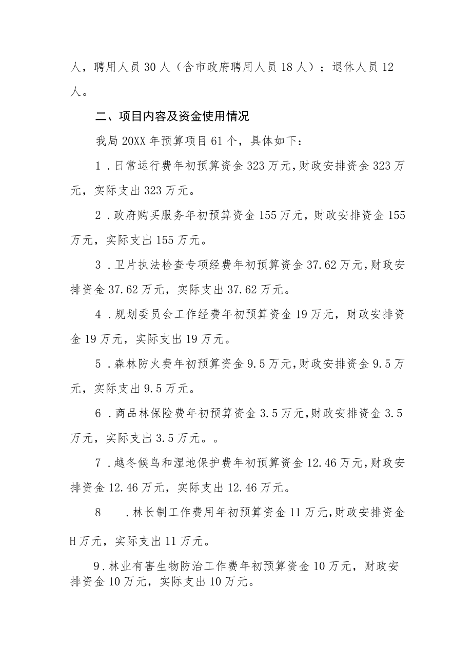 共青城市自然资源局项目绩效自评报告.docx_第2页