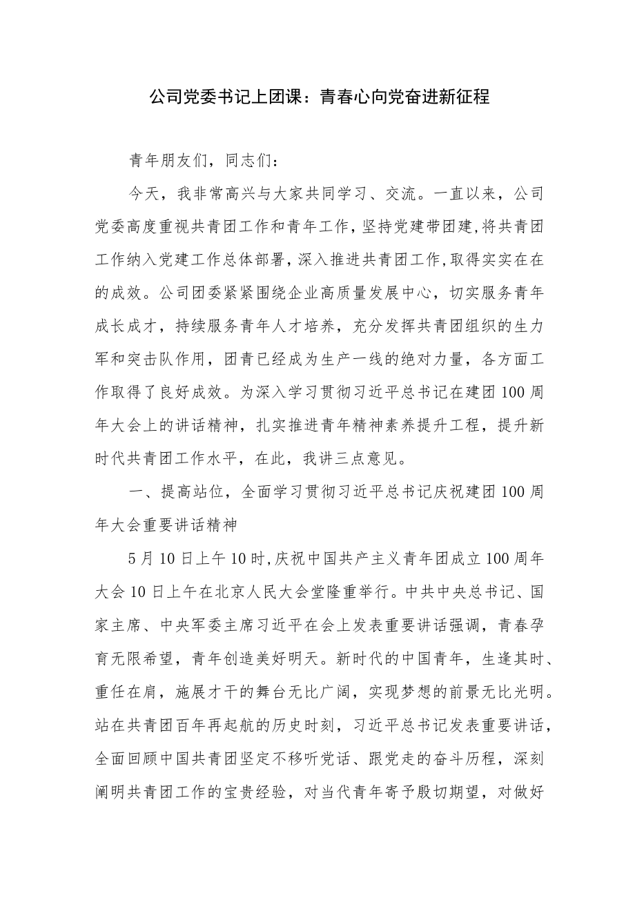 2022喜迎二十大党委团委书记给共青团员上团课讲稿报告5篇.docx_第2页