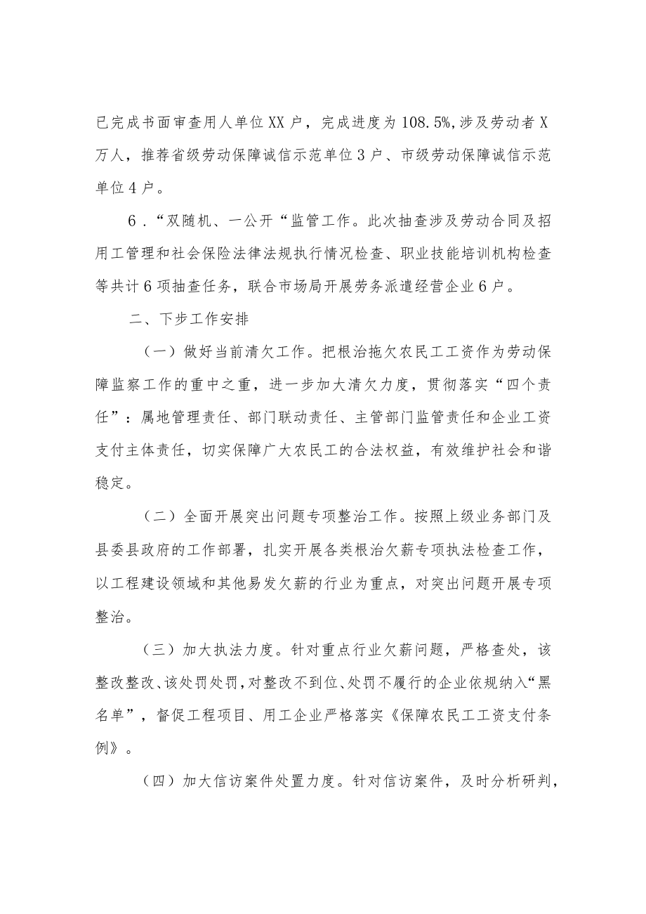 劳动保障监察大队工作总结.docx_第3页