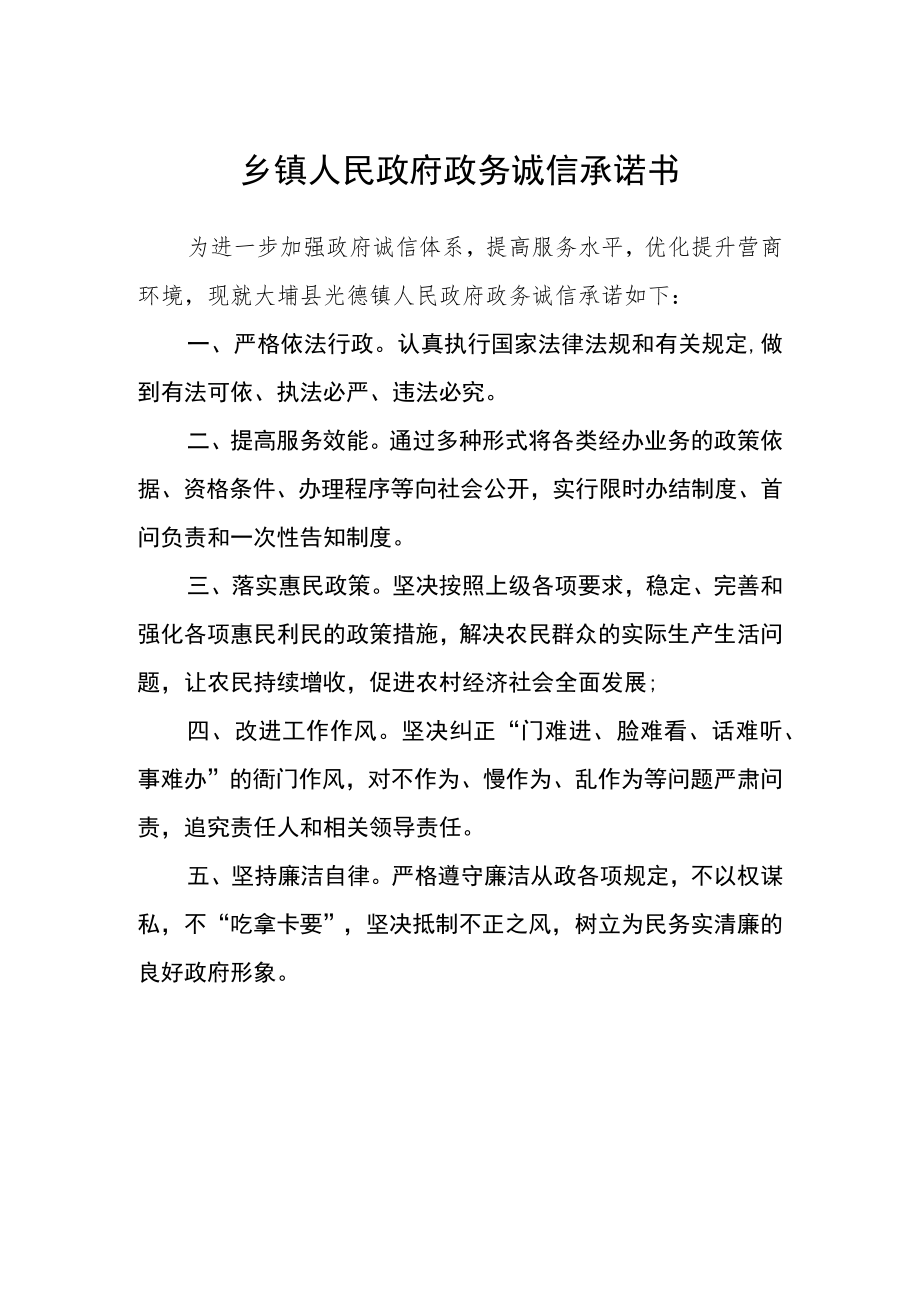 乡镇人民政府政务诚信承诺书.docx_第1页